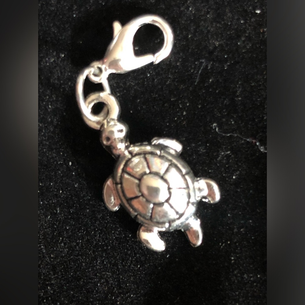 Stainless Turtle charm